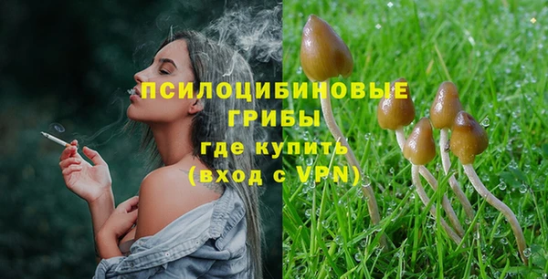 прущая мука Корсаков