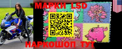 мет Кингисепп