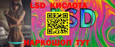 мет Кингисепп