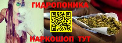 мет Кингисепп
