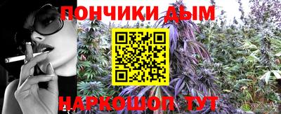 мет Кингисепп