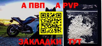 мет Кингисепп