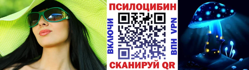 дарнет шоп  Нальчик  Псилоцибиновые грибы мицелий 