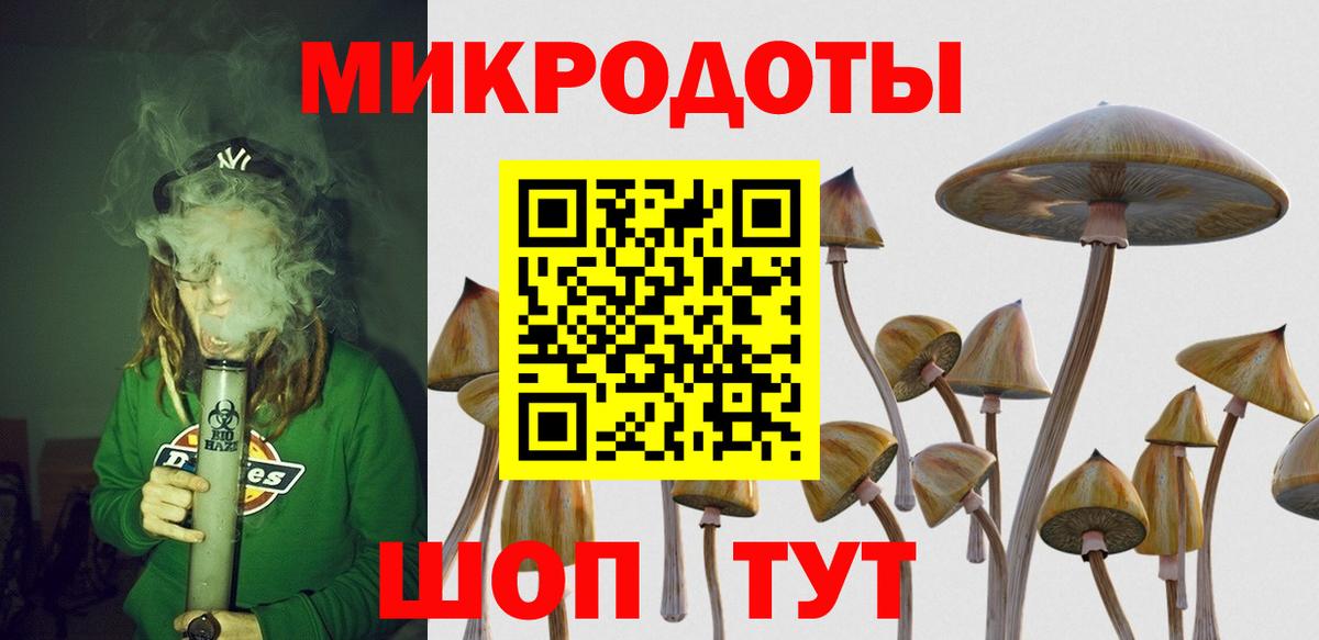 Псилоцибиновые грибы прущие грибы Нальчик